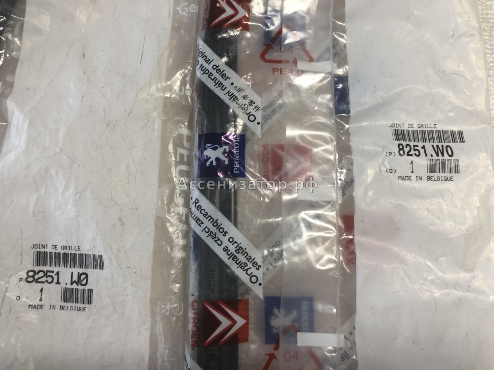 Молдинг лобового стекла PEUGEOT 407 8251W0